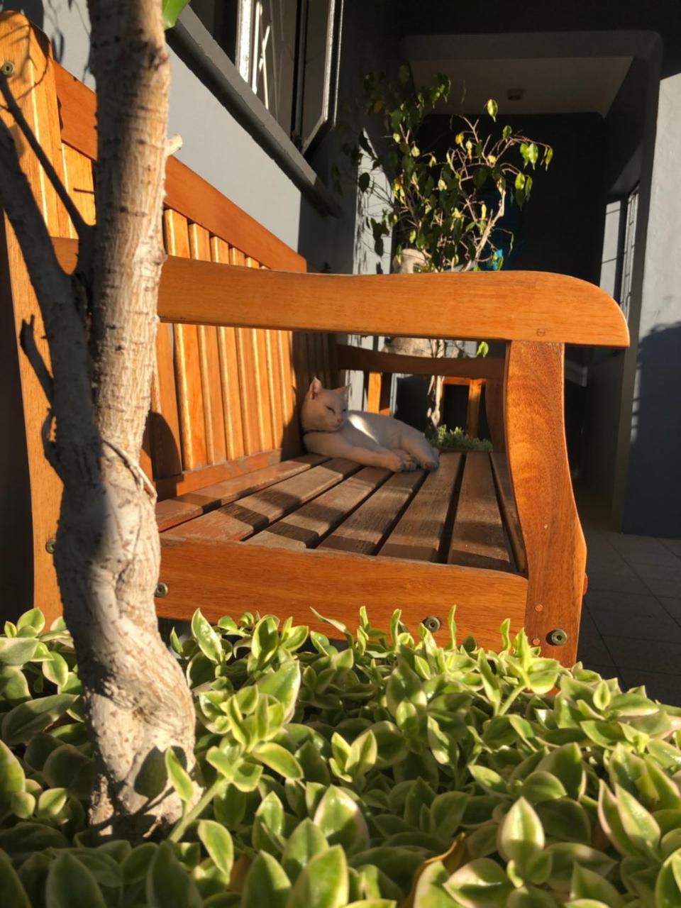 Albergo For Backpackers Plettenberg Bay Exterior foto
